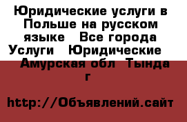 Юридические услуги в Польше на русском языке - Все города Услуги » Юридические   . Амурская обл.,Тында г.